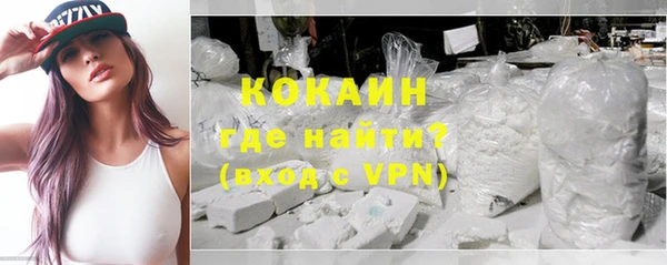 сатива Иннополис