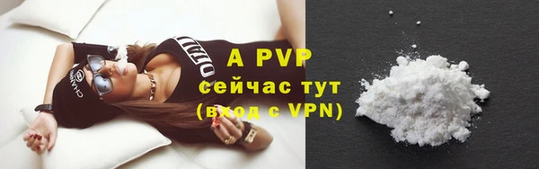 сатива Иннополис