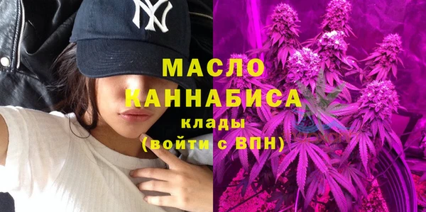 сатива Иннополис
