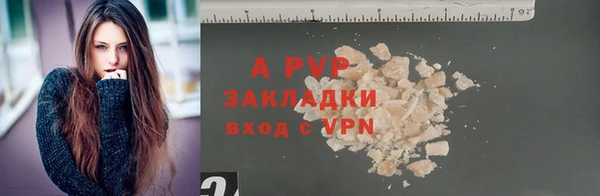сатива Иннополис