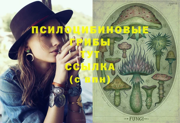 ешки Зеленокумск
