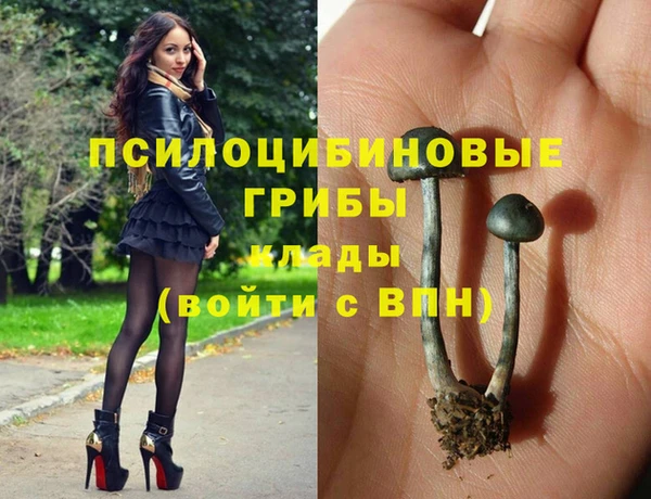 ешки Зеленокумск